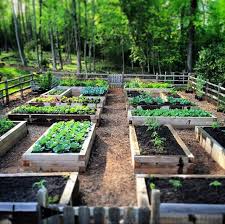 Deerproofing A New Tactic To Try Finegardening Raised Vegetable Gardens Vegetable Garden Raised Beds Vegetable Garden Design