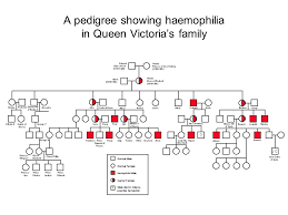 Haemophilia and the royal family. Inherited Diseases A Pedigree Showing Haemophilia In Queen Victoria S Family Ppt Download