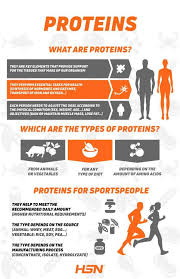 Proteins Types Properties And Effects The Most Complete