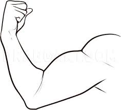 How To Draw A Muscle Step By Step Drawing Guide By Dawn Dragoart Com Drawing fruits may seem easy but it is a test of how you can be able to draw symmetrical shapes. how to draw a muscle step by step
