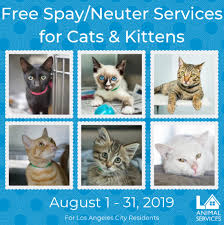Millions of animals are euthanized each year simply because they do not have a home. Free Spay Neuter Services For Cats During August Pedro Pet Pals