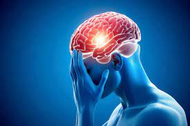 Human Behaviour Images – Browse 152,339 Stock Photos, Vectors, and Video |  Adobe Stock