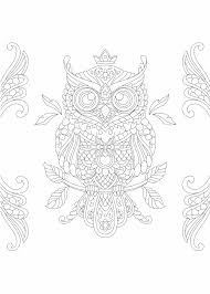 Gratis mandala download van dieren in nederland. Kleurplaat Uil Simpele Moeilijke En Mandala Kleurplaten Van Uilen