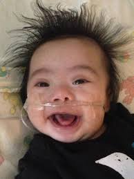 Vincent Rosales's Instagram, Twitter & Facebook