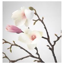 They can be a gift , a sculpture , a thanksgiving but not only artificial crafts. Smycka Magnolia Pink Artificial Flower Ikea