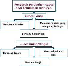 Jawaban tema 7 kelas 3 halaman 107. Lengkap Kunci Jawaban Halaman 103 105 107 108 Tema 5 Kelas 3 Buku Siswa Subtema 2 Pembelajaran 5 Pojok Edukasi