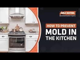 Turn your pressure valve away from your cabinets. How To Prevent Mold In The Kitchen The Ultimate Guide