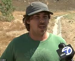 Ancient Californian tree that has lived for 13,000 years and survived the  Ice Age is now in grave danger due to modern-day crisis