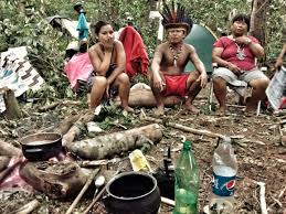 Check spelling or type a new query. Indigenas Guarani Mbya Retomam Area Tradicional Sobreposta Por Fundacao Extinta Pelo Governo Do Rs Cimi