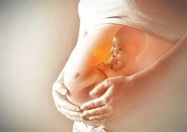 You can purchase a stethoscope at most. When Can You Hear A Baby S Heart Beat With A Stethoscope