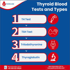 Image result for Thyroid Function Test