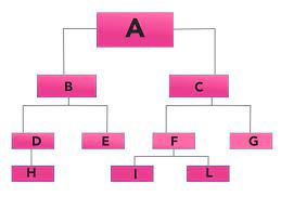 Per determinare i gradi di parentela si procede nel seguente modo: Quali Sono Le Linee E I Gradi Di Parentela