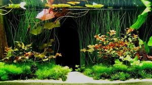 Decorative Artificial Aquarium Plants Silk Aquarium Plants Artificial Aquarium Plants Small Artificial Plants