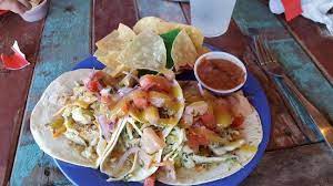 Check spelling or type a new query. Red Fish Blue Fish Tropical Fish Tacos Big Serving Couldn T Eat It All Picture Of Red Fish Blue Fish Pensacola Beach Tripadvisor