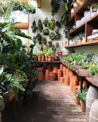 Ariana On Instagram Forever Grateful For My Second Home Pistilsnursery Plant Dreams Realized Plants Interior Design Living Room Interior Design