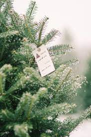 Maybe you would like to learn more about one of these? Shopper S Diary A Christmas Tree Farm In Maine Gardenista