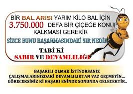 Böylece her kpss puan türü için 100 üzerinden kpss puan dağılımı elde edilmiş olacaktır. Kpss Puan Hesaplama Home Facebook