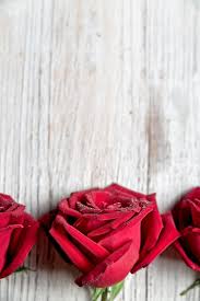 Three Red Roses On Light Wooden With Copy Space Top View Template Red Roses Background Red Roses Red Roses Garden