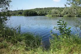 Einerseits wurden die schutzgebiete „wernauer baggerseen und. Der Steinige Weg Zum Schutzgebiet Zwischen Neckar Und Alb Teckbote