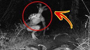 Fenomena rumah hantu selalu menjadi berita seram yang menarik untuk disimak di berbagai penjuru dunia. Ada Yang Sampai Meninggal 5 Video Kesurupan Paling Seram Di Dunia Jalanangker Youtube