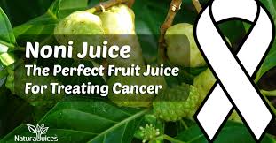 Image result for noni for proper cancer