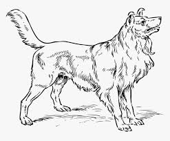 Download Dog Vector Clipart Svg 15 Dog Clip Art Big Dog For Realistic Dog Clip Art Black And White Hd Png Download Transparent Png Image Pngitem