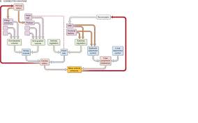 solved use the systems analysis flow chart to illustrate