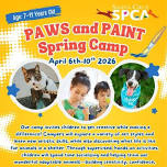 Santa Cruz SPCA – PAWS and PAINT Spring Camp!