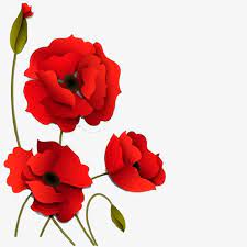 Three Dimensional Flores Rojas Flores Tridimensionales Vector Flowers Flores Rojas Png Y Psd Para Descargar Gratis Pngtree Flores Rojas Amapolas Rojas Fondo Floral