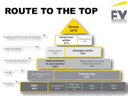 Information System Study Ey