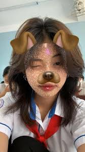 Don homer Desembrana (donhomerd)