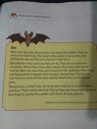 Check spelling or type a new query. Tuliskan Translate Indonesia Dari Text Buffalo And Bat Halaman 166 Bahasa Inggris Kelas 9 Revisi Brainly Co Id