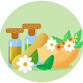 Homeopathy for Everyday Health: Safe, Natural & Effective Healing