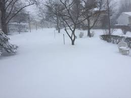 Matthew Distefano (@DustyDistefano)