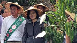 Image result for 316 立委補選蔡英文輔選 郭國文