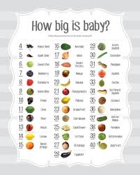 baby size chart week by week fruit comparison pregnancy