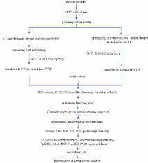 Flow Chart Of Myxobacteria Directed Screening Download