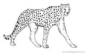 Cheetah Coloring Page Free Cheetah Coloring Pages Cat Coloring Page Animal Coloring Pages Coloring Pages