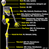When a bone tumor grows, it presses on healthy bone tissue and can destroy it, which causes the following symptoms: 1