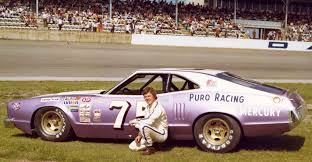 Image result for Daytona Yellow 1974 Mercury