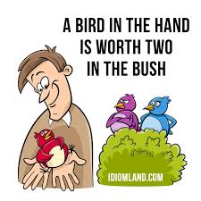 Pin On Idiom Cards