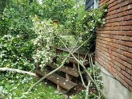 Explore the best things to do in westport ct with westport realtor charlie vinci. Tornado Touchdown Confirmed In Westport Amid Tropical Storm Isaias