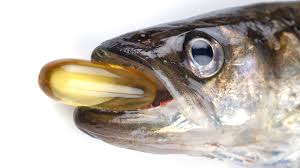 fish oil tablet fishes ile ilgili görsel sonucu