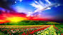 Beautiful Love Background Wallpaper