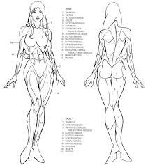 See more ideas about anatomy drawing, female torso, anatomy reference. Muscles Human Anatomy Drawing Human Figure Drawing Anatomy Sketches
