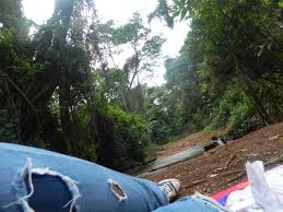 The long list of videos is totally unsourced, as is the first section of the article. Villanyborotva Szen Lopas Ls Land 16 Daisies Laura Edwards Com