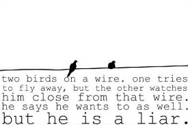 Bird Bird Bird Bird Is The Word Lyrics Two Birds On A Wire On Tumblr Regina Spektor Lyrics Aesthetic Gravity Falls Dipper