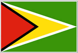 Black American Flag With Yellow Stripe Meaning Guyana Flag Download Picture Of Guyana Flag Outline For Kids To Color Guyana Flag Flag Guyana