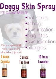 Pin On Health