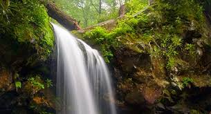 Centrally located, parrot mountain cabins are less than a mile away from parrot mountain and garden of eden, and dollywood; Plan Your Visit To The Great Smoky Mountains In Tennessee